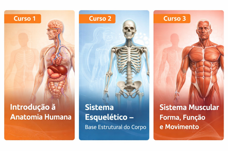 ChatGPT Image 10 de fev. de 2026, 16_09_29